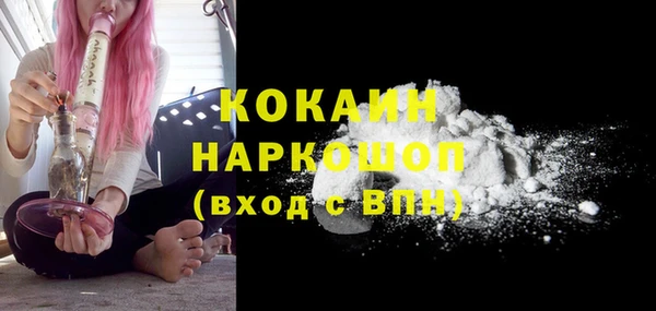тгк Абаза