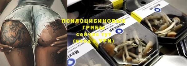 трава Нязепетровск