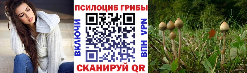 это наркотические препараты  где можно купить   Балаково  Галлюциногенные грибы Psilocybine cubensis 